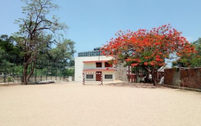 BMS-2